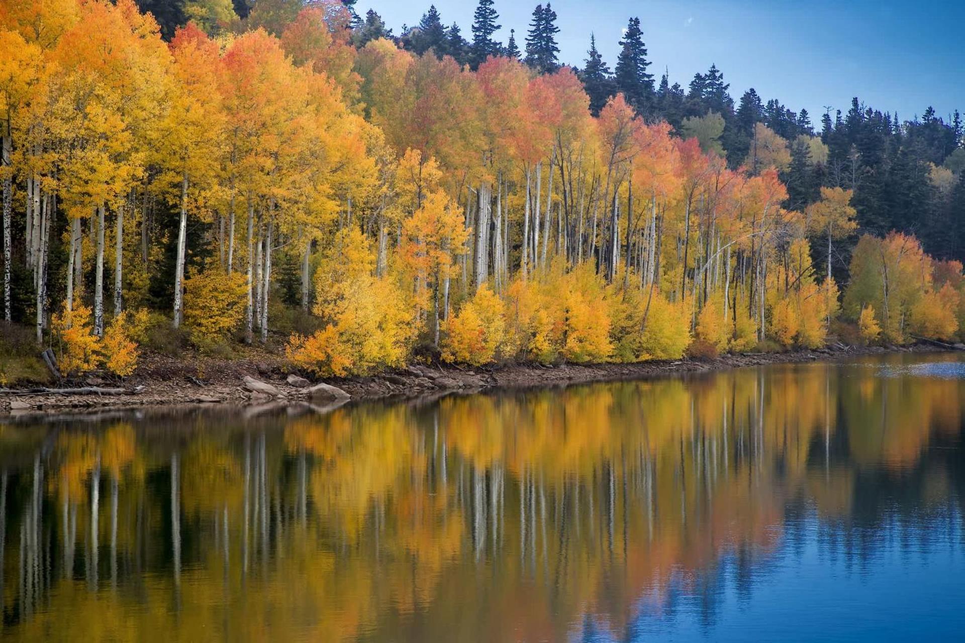 New Listing 2Br 2Ba Condo - Mountain Views Aspen Exterior foto